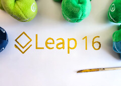 OpenSUSE Leap 15.6 sarà seguita nel 2025 da Leap 16, basata su Adaptable Linux Platform (Immagine: openSUSE).