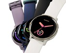 Il Vivoactive 5 ha ricevuto un aggiornamento software (Fonte: Garmin)