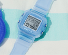 Il Casio BGD10KG-2 (nella foto)