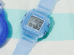 Il Casio BGD10KG-2 (nella foto)