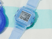 Il Casio BGD10KG-2 (nella foto)