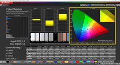 CalMAN ColorChecker (profilo: predefinito, spazio colore di destinazione: P3)