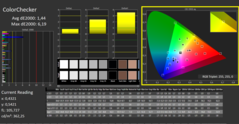 CalMAN - Color Checker (calibrato)