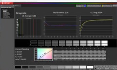 CalMAN: Scala di grigi (calibrata)