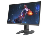 ASUS ha progettato ROG Swift Pro PG248QP pensando ai giocatori di Esports. (Fonte immagine: ASUS)
