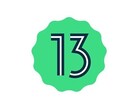 Android il 13 arriverà presto. (Fonte: Google)