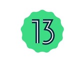 Android il 13 arriverà presto. (Fonte: Google)