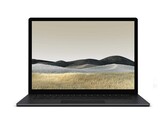 Non ci saranno 32 GB di RAM o configurazioni da 1 TB per le versioni AMD del Surface Laptop 4. (Fonte: WinFuture)