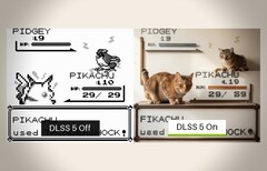 Dopo 30 anni, la verità viene finalmente svelata: Pidgey è un gatto travestito da piccione.