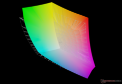 vs. Adobe RGB: 90,4% di copertura