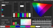 Spazio colore CalMAN sRGB - display esterno