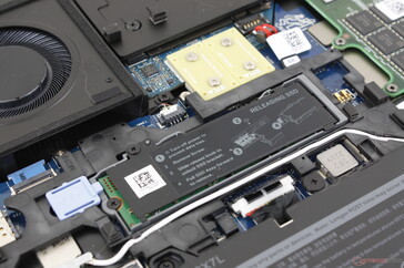 Slot SSD occupato vicino al centro. Dell offre un piccolo sportello opzionale sulla piastra inferiore per facilitare l'accesso a questa unità senza dover rimuovere l'intera piastra inferiore