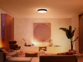 Il bridge Philips Hue supporta ora le imminenti scene All-day. (Fonte: Philips Hue)