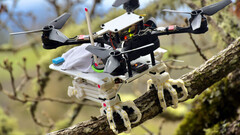 L&#039;uccello robot SNAG usa la biomimetica per appollaiarsi (immagine: Stanford)