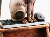 Wallhack sta entrando nel mercato delle tastiere e dei mouse da gioco.