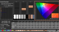 CalMAN: ColorChecker (calibrato)