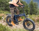 Engine Pro 3.0 Boost: Una e-bike pieghevole adatta anche all'uso fuoristrada. (Fonte: Engwe)
