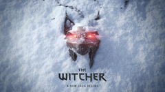 The Witcher 4 potrebbe ruotare intorno a Ciri e alla fittizia School of the Lynx. (Fonte: The Witcher)