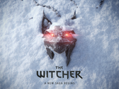 The Witcher 4 potrebbe ruotare intorno a Ciri e alla fittizia School of the Lynx. (Fonte: The Witcher)