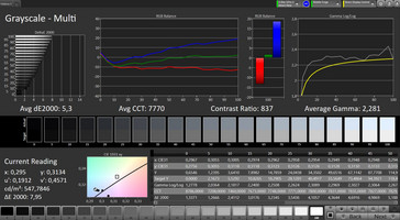 CalMAN scale di grigi (obiettivo spazio colore sRGB)