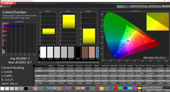 CalMAN ColorChecker calibrato