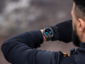 Fenix E e Fenix 8 sono i primi smartwatch Fenix con display AMOLED. (Fonte: Garmin)