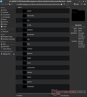Può anche accedere ai file di applicazioni specifiche, come RetroArch. 