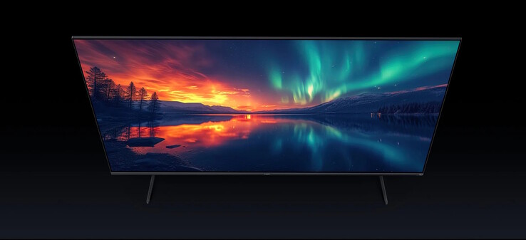 È specificata una copertura dello spazio colore DCI-P3 pari al 93%; sono supportati HDR10+ e una frequenza di aggiornamento fino a 120 Hz.