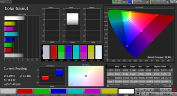 Spazio di colore CalMan (spazio di colore target: sRGB)