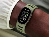 Fitbit Edge colma il divario tra Fitbit Air e Pixel Watch.