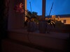 Xiaomi Mi 10 Pro | GCam - Modalità foto