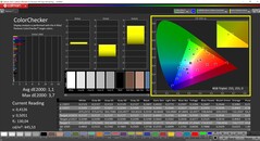 CalMAN ColorChecker calibrato