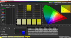 CalMAN vs. sRGB (non calibrato)