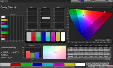 Spazio colore (profilo: Pro spazio colore di destinazione: P3) - visualizzazione interna