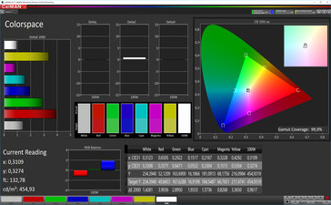 CalMAN spazio colore (Spazio colore target sRGB) - Profilo: warm