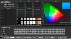 CalMAN: ColorChecker (calibrato)