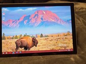 Il Microsoft Surface Pro 8 sarà probabilmente caratterizzato da un design esterno invariato (Fonte immagine: Reddit)
