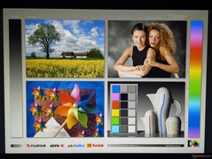 Ampi angoli di visione IPS