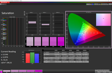 Saturazione del colore (spazio colore di destinazione: sRGB; profilo: naturale) - display esterno