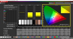 CalMAN ColorChecker calibrato