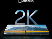 Si dice che il OnePlus 12 abbia il miglior display per smartphone in circolazione, almeno secondo OnePlus. (Fonte: OnePlus)