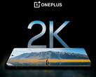 Si dice che il OnePlus 12 abbia il miglior display per smartphone in circolazione, almeno secondo OnePlus. (Fonte: OnePlus)