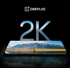 Si dice che il OnePlus 12 abbia il miglior display per smartphone in circolazione, almeno secondo OnePlus. (Fonte: OnePlus)