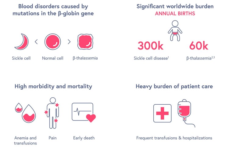 Panoramica della malattia falciforme. (Fonte: CRISPR Therapeutics)