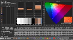 CalMAN: ColorChecker (calibrato)