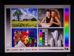 Ampi angoli di visione OLED
