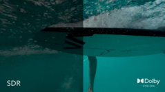 Alcuni fan di Vimeo potrebbero ora essere in grado di accedere a questo aggiornamento. (Fonte: Vimeo)