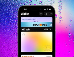 Appleattualmente l'applicazione Wallet memorizza principalmente carte di credito e biglietti per eventi.