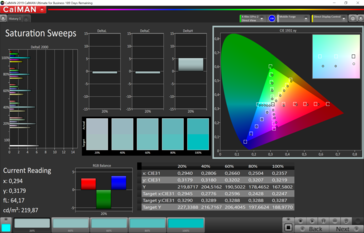 CalMAN saturation sweeps (spazio colore target sRGB), profilo colore: delicato, caldo