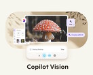 Microsoft Copilot Vision su Windows con Highlights permette all'AI Copilot di vedere e interagire con le informazioni e le app visibili. (Fonte: Microsoft)